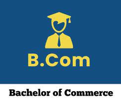 BCom 3rd Year Corporate 