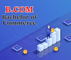 BCom (Bachelor of Commerce )